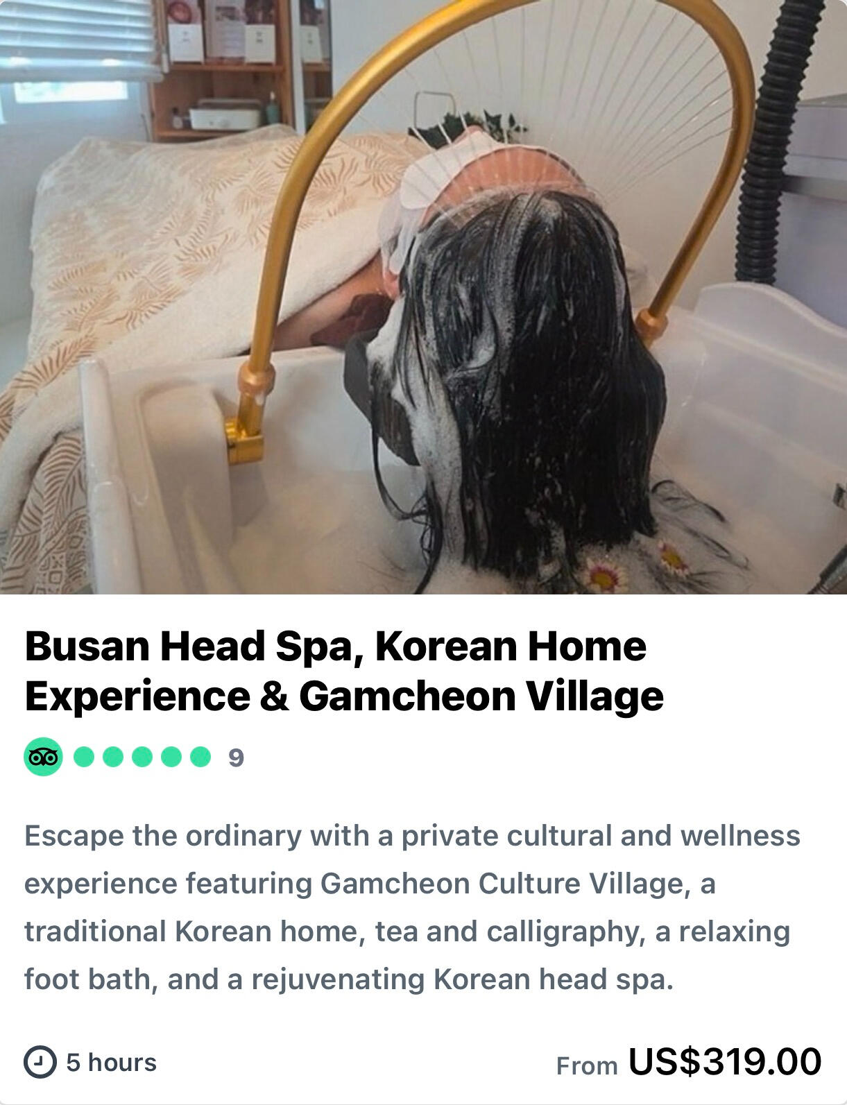 Busan Head Spa, Korean Home Experience & Gamcheon Village