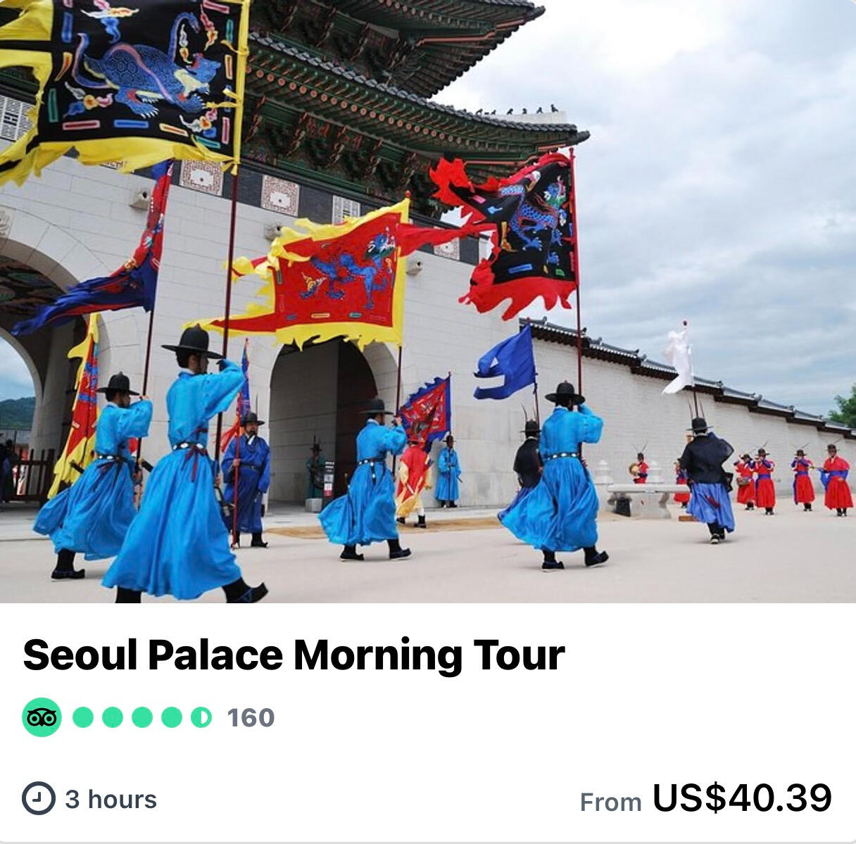 Seoul Palace Morning Tour